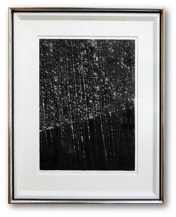 The White Forest by Robert Kipniss