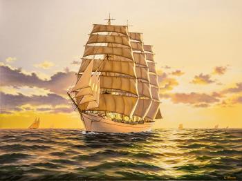 Sunset on the sea  by Suren Torosya