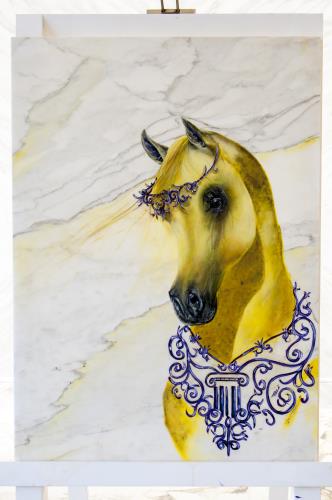 Horse by  Fahad Al Maadheed